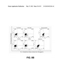 Self-immolative probes for enzyme activity detection diagram and image