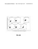 Self-immolative probes for enzyme activity detection diagram and image