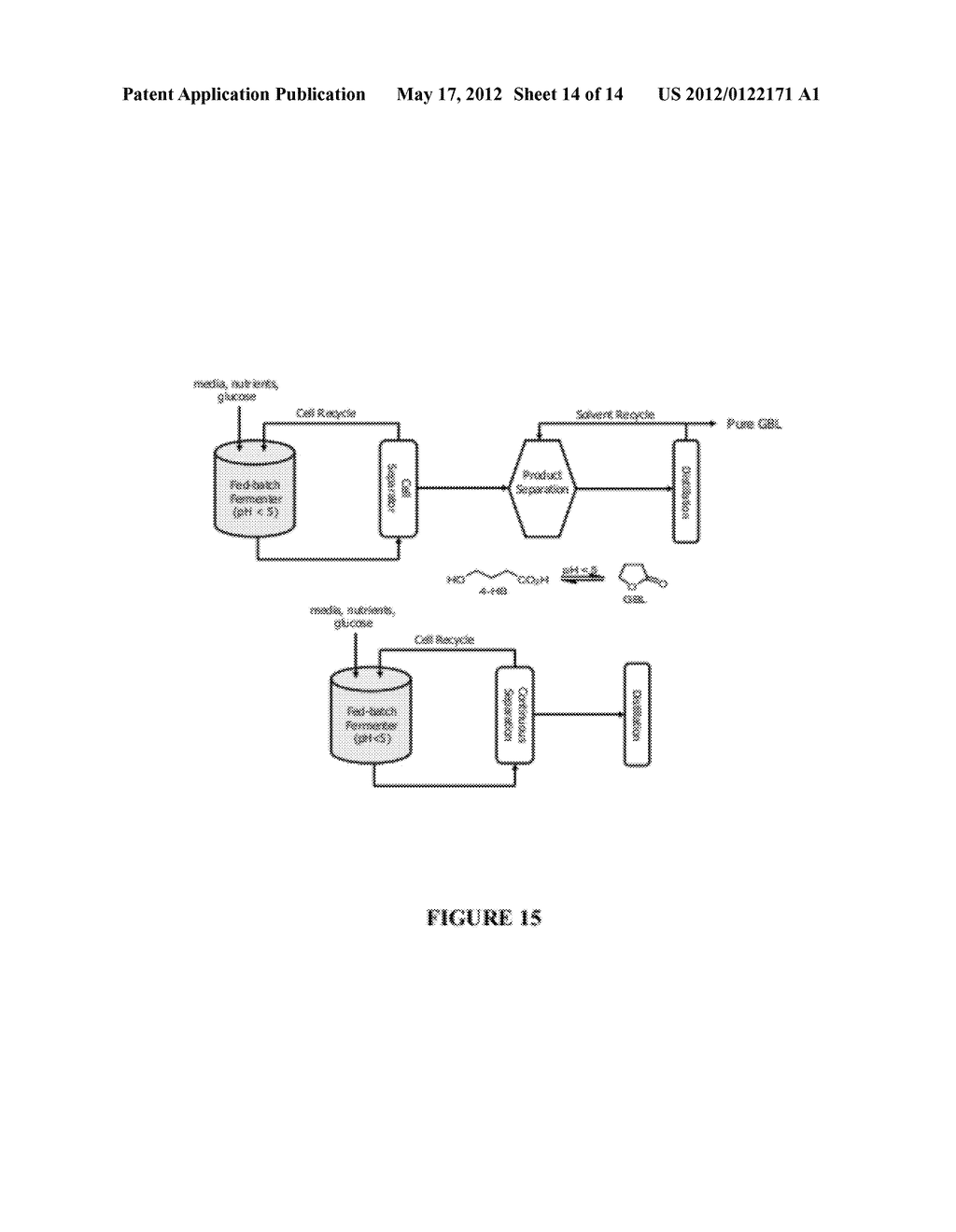 COMPOSITIONS AND METHODS FOR THE BIOSYNTHESIS OF 1,4-BUTANEDIOL AND ITS     PRECURSORS - diagram, schematic, and image 15