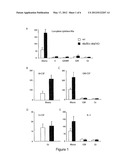 Method for Expanding Monocytes diagram and image