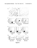 Method for Expanding Monocytes diagram and image