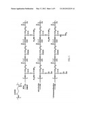 POROUS COMPOSITE BIOMATERIALS AND PRODUCTION METHOD OF THE SAME diagram and image