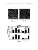 METHOD AND APPARATUS FOR MAINTENANCE AND EXPANSION OF HEMOPOIETIC STEM     CELLS AND/OR PROGENITOR CELLS diagram and image