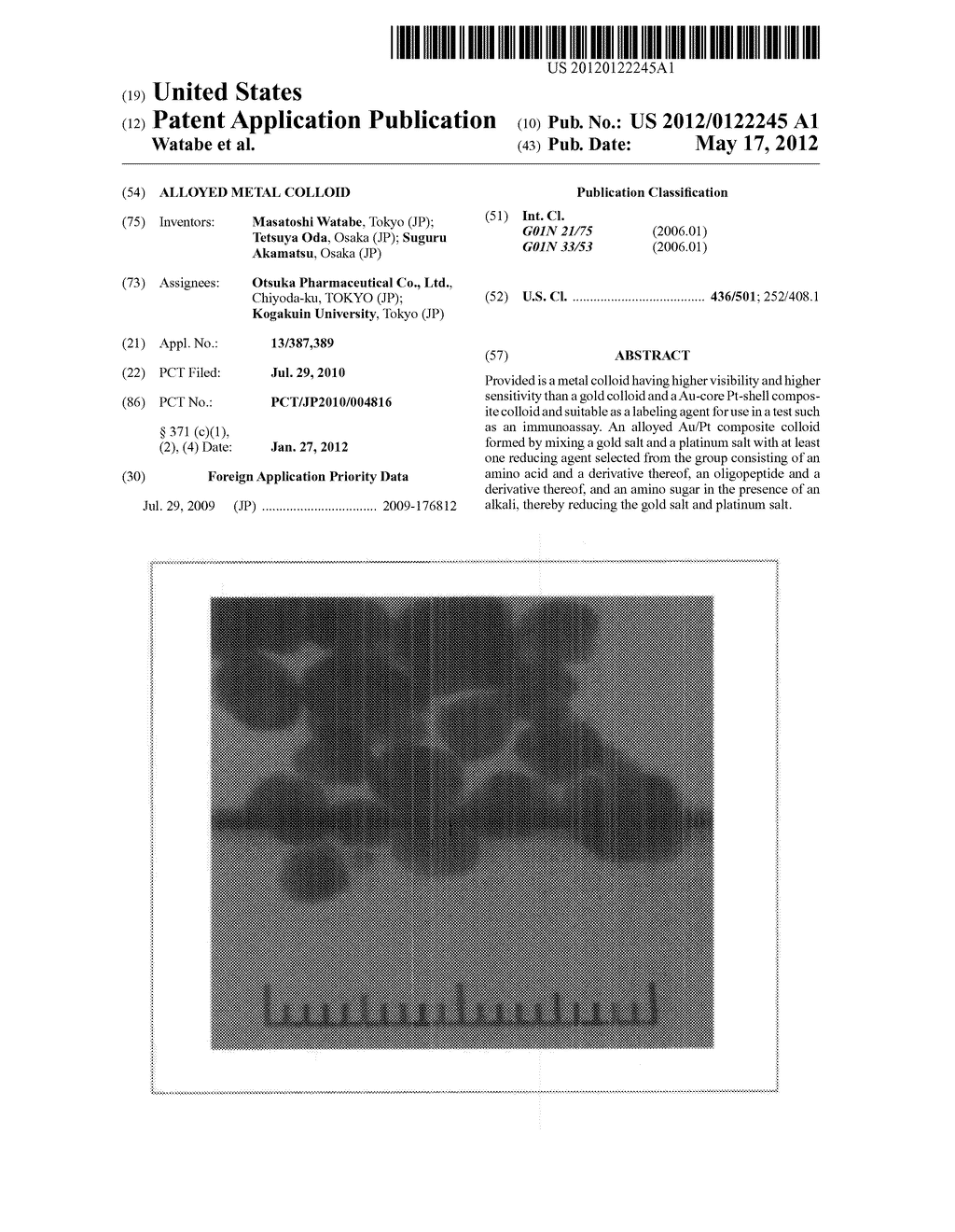 ALLOYED METAL COLLOID - diagram, schematic, and image 01