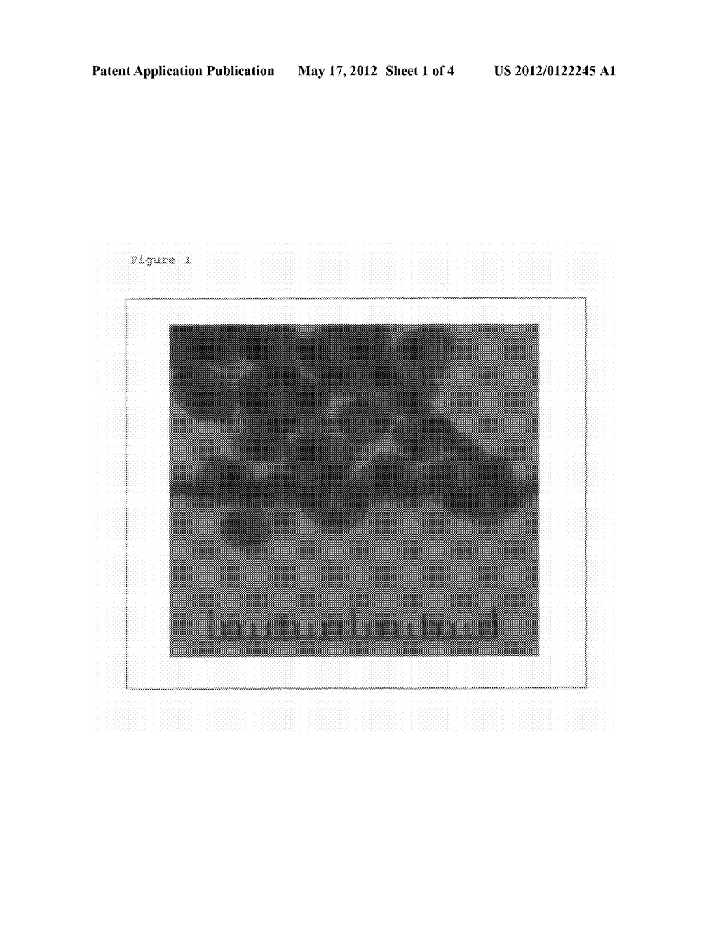 ALLOYED METAL COLLOID - diagram, schematic, and image 02