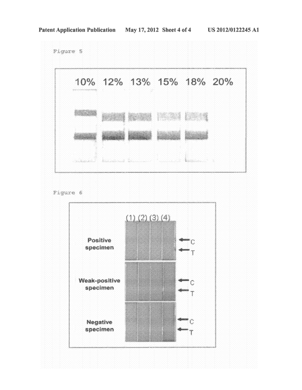 ALLOYED METAL COLLOID - diagram, schematic, and image 05