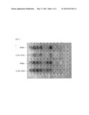 ARRAY USING COLOR REACTION OF CHEMICAL COMPOUNDS diagram and image