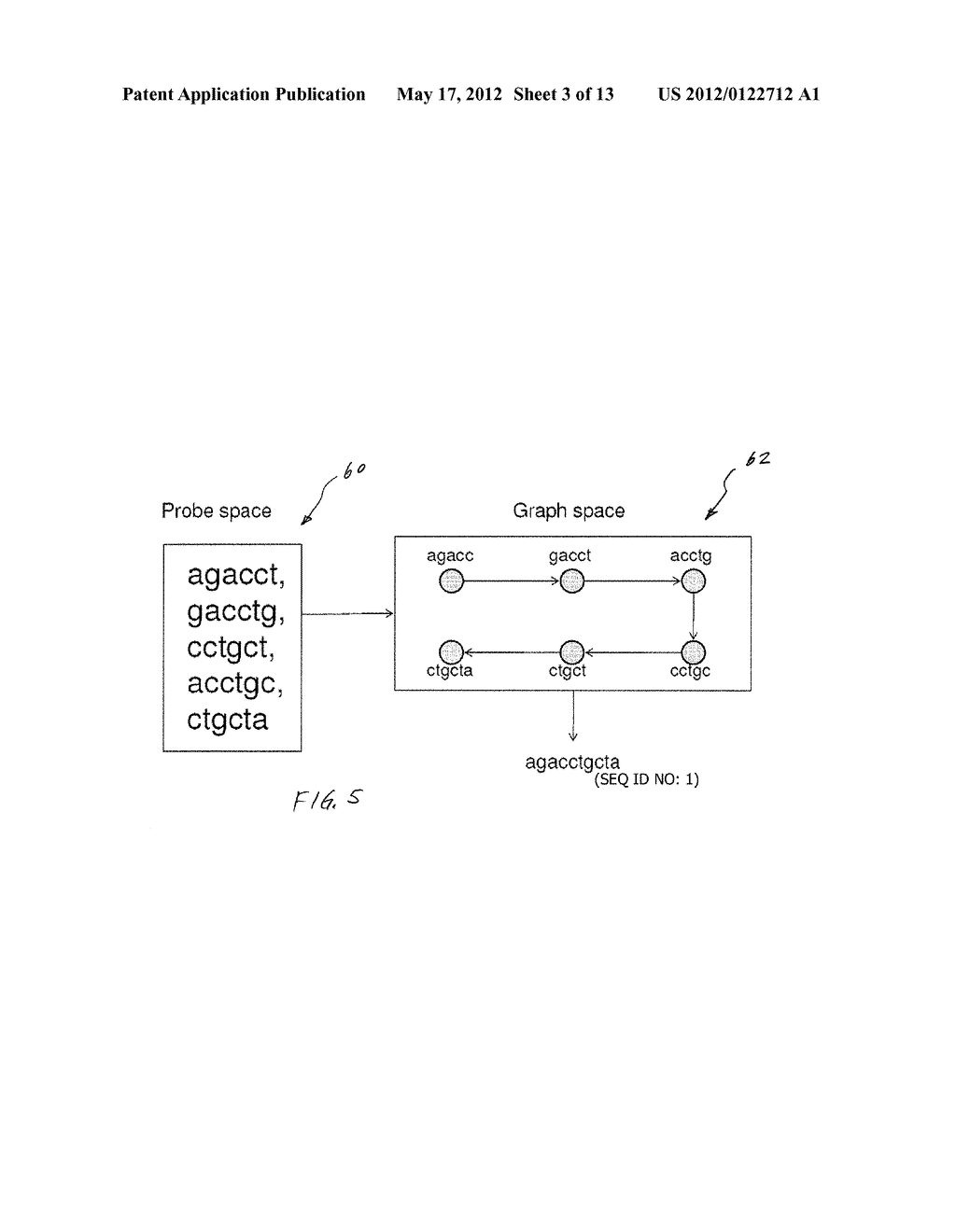 Methods for Sequencing a Biomolecule by Detecting Relative Positions of     Hybridized Probes - diagram, schematic, and image 04