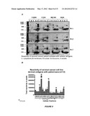 METHODS OF DETECTING AUTOANTIBODIES FOR DIAGNOSING AND CHARACTERIZING     DISORDERS diagram and image