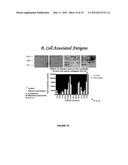 METHODS OF DETECTING AUTOANTIBODIES FOR DIAGNOSING AND CHARACTERIZING     DISORDERS diagram and image