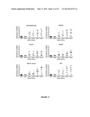 METHODS OF DETECTING AUTOANTIBODIES FOR DIAGNOSING AND CHARACTERIZING     DISORDERS diagram and image