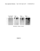 METHODS OF DETECTING AUTOANTIBODIES FOR DIAGNOSING AND CHARACTERIZING     DISORDERS diagram and image