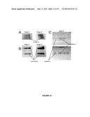 METHODS OF DETECTING AUTOANTIBODIES FOR DIAGNOSING AND CHARACTERIZING     DISORDERS diagram and image