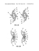 Modified TGF-beta superfamily protein diagram and image