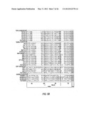 Modified TGF-beta superfamily protein diagram and image