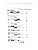 Modified TGF-beta superfamily protein diagram and image