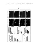 ACCELERATED EXTENSION OF AXONS diagram and image