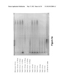 Long-Acting DNA Dendrimers and Methods Thereof diagram and image