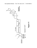 Long-Acting DNA Dendrimers and Methods Thereof diagram and image