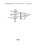 Reduction of Side Effects From Aromatase Inhibitors Used for Treating     Breast Cancer diagram and image