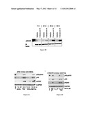 COMPOUNDS AND THERAPEUTIC USES THEREOF diagram and image