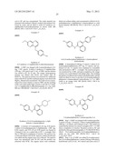 AURORA KINASE MODULATORS AND METHOD OF USE diagram and image