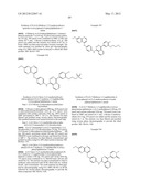 AURORA KINASE MODULATORS AND METHOD OF USE diagram and image