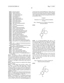 (+)-3-HYDROXYMORPHINAN DERIVATIVES AS NEUROPROTECTANTS diagram and image