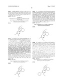 (+)-3-HYDROXYMORPHINAN DERIVATIVES AS NEUROPROTECTANTS diagram and image