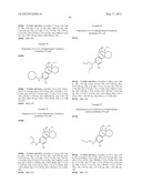 (+)-3-HYDROXYMORPHINAN DERIVATIVES AS NEUROPROTECTANTS diagram and image