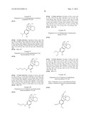 (+)-3-HYDROXYMORPHINAN DERIVATIVES AS NEUROPROTECTANTS diagram and image