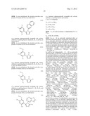 TRIZAOLE COMPOUNDS THAT MODULATE HSP90 ACTIVITY diagram and image