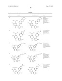 TRIZAOLE COMPOUNDS THAT MODULATE HSP90 ACTIVITY diagram and image