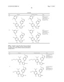 TRIZAOLE COMPOUNDS THAT MODULATE HSP90 ACTIVITY diagram and image