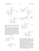 TRIZAOLE COMPOUNDS THAT MODULATE HSP90 ACTIVITY diagram and image