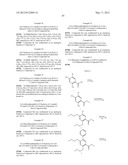 TRIZAOLE COMPOUNDS THAT MODULATE HSP90 ACTIVITY diagram and image