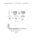 Treatment or Prevention of Fungal Infections with PDK1 Inhibitors diagram and image