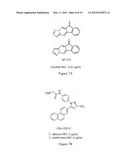 Treatment or Prevention of Fungal Infections with PDK1 Inhibitors diagram and image