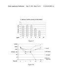 Treatment or Prevention of Fungal Infections with PDK1 Inhibitors diagram and image