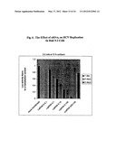 Modified Small Interfering RNA Molecules and Methods of Use diagram and image