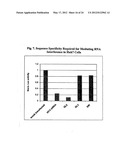 Modified Small Interfering RNA Molecules and Methods of Use diagram and image