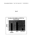 Modified Small Interfering RNA Molecules and Methods of Use diagram and image