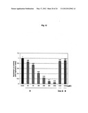 Modified Small Interfering RNA Molecules and Methods of Use diagram and image