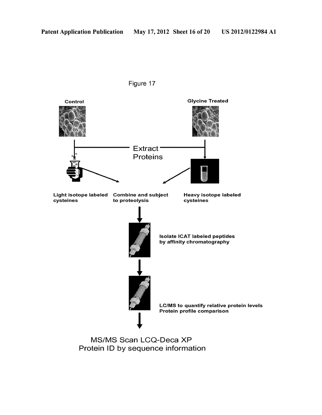 Methods of Treating Lipomas and Liposarcomas - diagram, schematic, and image 17