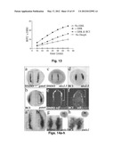 SMALL MOLECULE INHIBITORS OF Dusp6 AND USES THEREFOR diagram and image