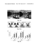 SMALL MOLECULE INHIBITORS OF Dusp6 AND USES THEREFOR diagram and image