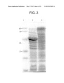 NOVEL SURFACE ANTIGEN diagram and image