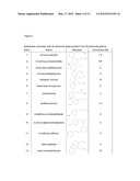 BIOCATALYST FOR CATALYTIC HYDROAMINATION diagram and image