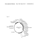 BIOCATALYST FOR CATALYTIC HYDROAMINATION diagram and image