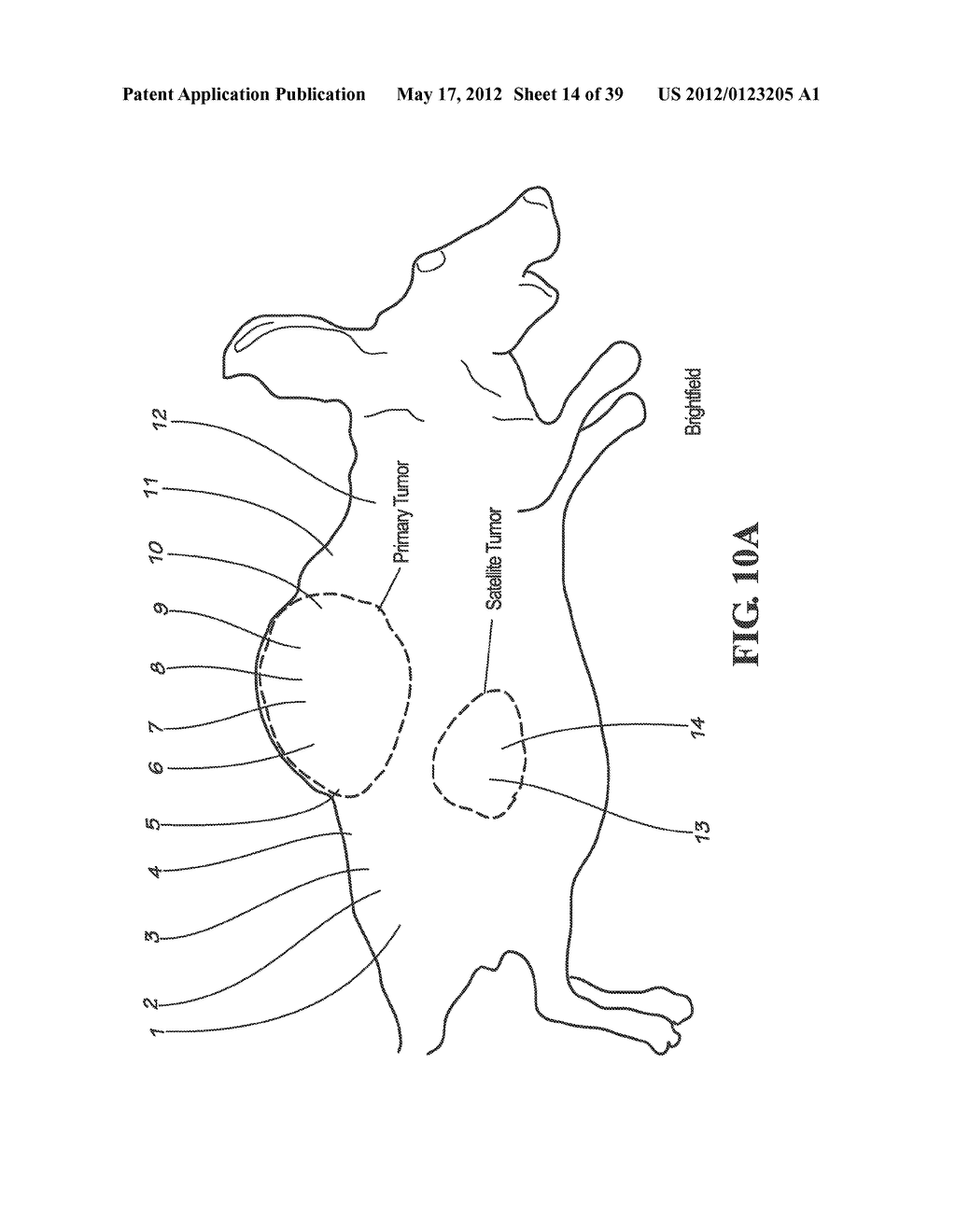 ADDITIONAL SYSTEMS AND METHODS FOR PROVIDING REAL-TIME ANATOMICAL GUIDANCE     IN A DISGNOSTIC OR THERAPEUTIC PROCEDURE - diagram, schematic, and image 15